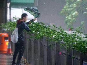 图集丨台风“山竹”强劲来袭：高铁停运、大树被连根拔起