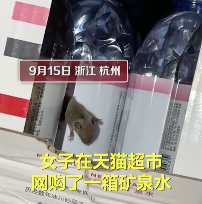 《女子网购矿泉水，竟在箱内发现活老鼠！天猫超市上门道歉：全面整顿仓配体系》