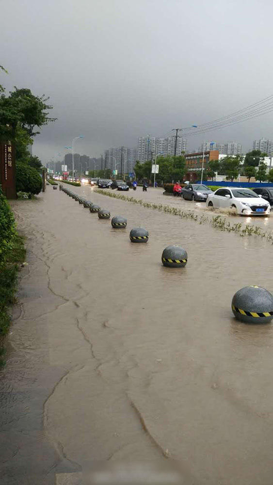 上海看海