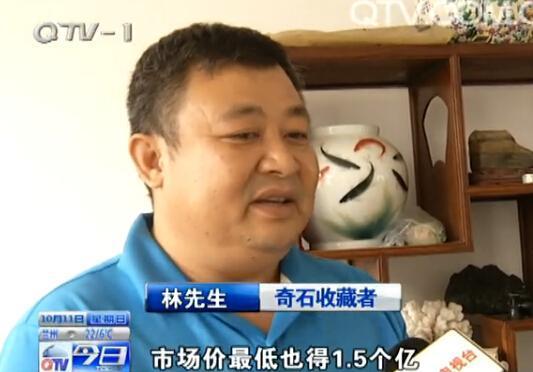  捡奇石有熊猫图案  估值上亿大有看头 | 每经网