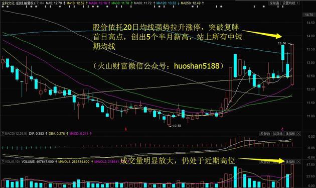 金科文化日k线图