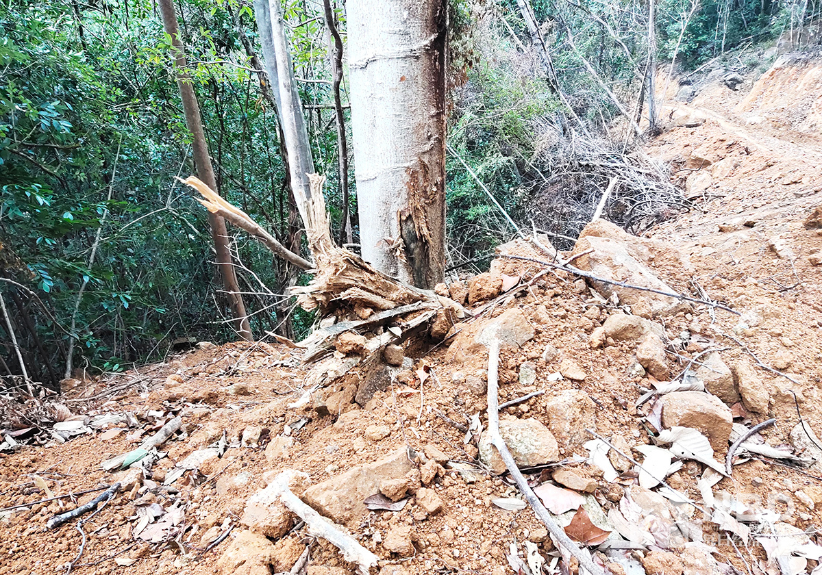 农夫山泉武夷山“毁林取水”被告始末：环保组织年初提告 项目施工未停