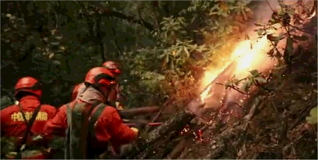 云南香格里拉发生森林大火，已扑救了1,100多人| 每日经济新闻