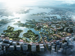 专访成都医疗健康投资集团负责人：加快建设成都未来医学城 打造医教研产一体化平台