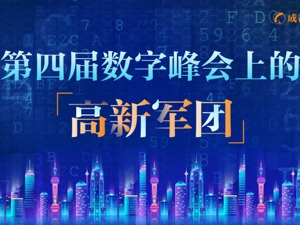 第四届数字峰会上的“高新军团”