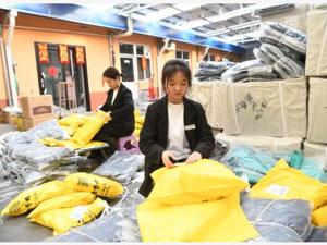 发展新型乡村便利店、支持乡村民宿、扩大农村电商覆盖面……国务院多招齐发促进农民收入、农村消费双提升