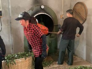 武夷山茶农数字化转型：从短视频直播到“低代码”运营客户