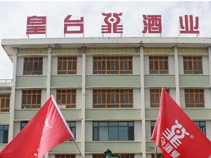 年报资本论︱“西北茅台”路在何方？