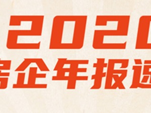 镁刻·年报速读 | 新湖中宝：2020年归母净利同比增长46.95%至31.65亿元