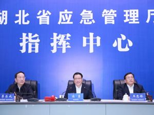 王忠林已出任湖北省委副书记、省政府党组书记，此前任武汉市委书记