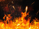 ____401565064_banner_____________.thumb_hs