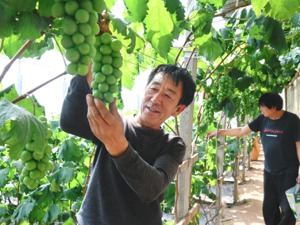 两部门：鼓励社会资本投资13个重点产业和领域 探索设立乡村振兴投资基金