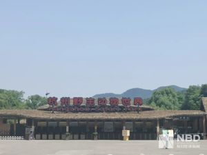 金钱豹出逃！背后关联“研发依托珍稀野生动物资源”的药企？杭州野生动物世界还曾私占土地遭处罚...