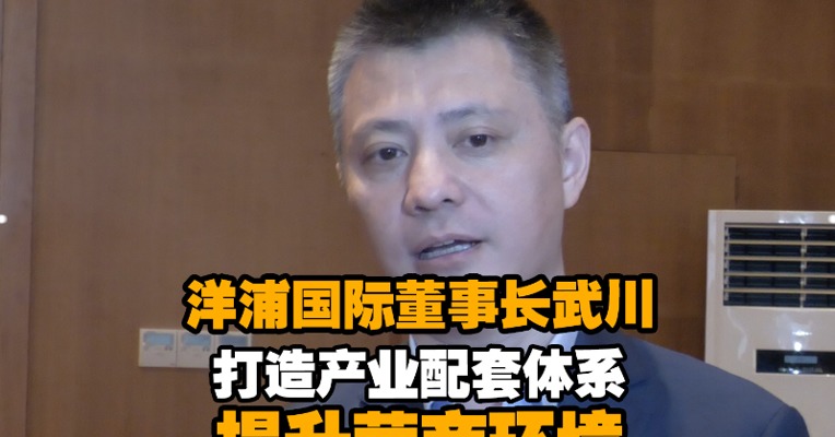 洋浦国际董事长武川：打造产业配套体系 提升营商环境