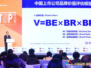 清华大学赵平教授：希望上市公司更加关注品牌价值，推动中国经济高质量发展