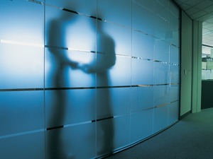深挖叶飞举报案关键人物蒲菲迪：疑涉嫌非法经营证券业务或诈骗  曾多次“吞”下家保证金
