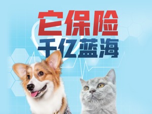 生病动辄花费上千，养宠物堪比养娃！给猫猫狗狗买保险，能拯救铲屎官们的钱包吗？