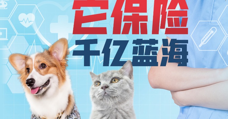 宠物保险蓝海“暗潮涌动” 市场培育正当时