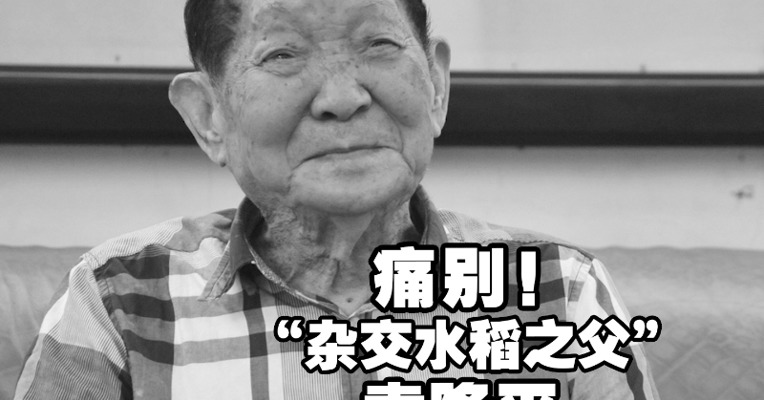 痛别！袁隆平