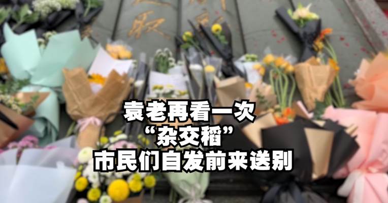 视频｜袁老最后一次看杂交稻 市民们自发前来送别