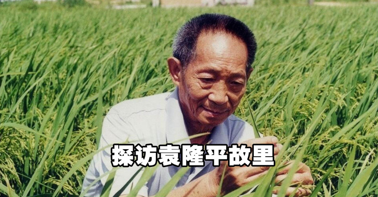 每经记者独家探访袁隆平故里