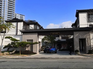 震惊！450万保证金没了？这套4000万成交的豪宅遭买家悔拍：2485万起拍，单价超18万，原因竟然是……