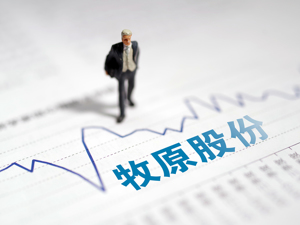 惨烈！“猪茅”暴跌近10%惊现“断头铡刀”！股价创3个多月来新低，本月已狂泻超20%...公司：做好迎接行业冬天来临的准备
