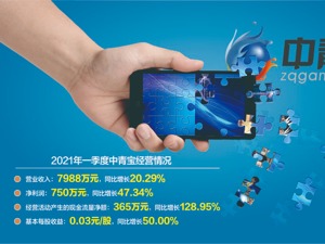 控股股东占用资金 前手游“一哥”中青宝收关注函