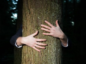 一位交易所人士眼中的币圈关键词：暴富梦想和丛林法则