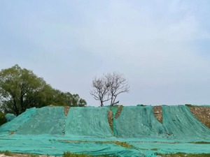 北京首个“双集中”土拍落槌之后：八折豪宅首现，房企利润被压缩，新房质量存隐忧