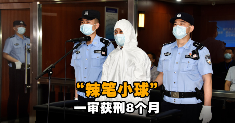 “辣笔小球”侵害英烈名誉荣誉 一审获刑8个月