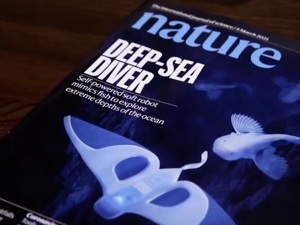 万米海沟遨游，轻松夹取生鸡蛋黄...这样东西火了！市场规模达56万亿元，产品远销20多个国家地区