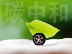 专访瑞士再保险中国总裁陈东辉：保险业可从五方面参与碳达峰及碳中和