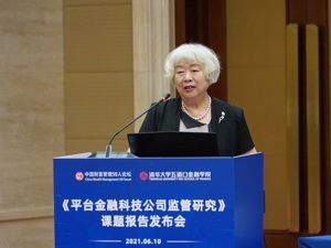 技术风险应纳入宏观审慎监管范畴！央行原副行长吴晓灵答每经问：技术风险在逐步积聚