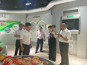 国家知识产权局商标局点赞金锣集团商标工作 