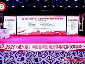 健康元获“2021中国品牌影响力社会责任典范企业” 持续助力乡村振兴