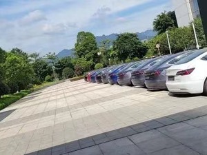 停车位“清一色”特斯拉？宁德时代强制员工买电池有问题的车？公司回应：没有的事