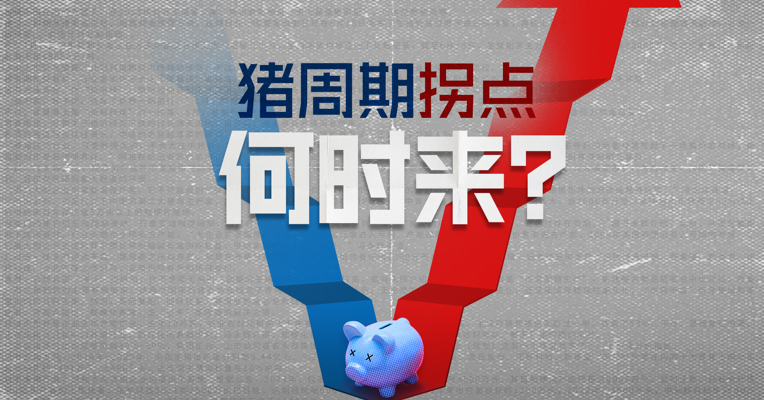 视频｜猪周期进入超长磨底阶段 抄底还早得很