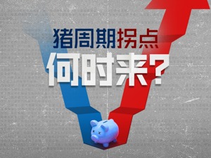 出栏就亏20万！猪周期的低价下半场还要横盘多久？业内预测拐点在这个时间到来