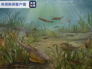 上热搜！重庆发现4.23亿年前袖珍边城鱼化石，将填补“从鱼到人”演化关键缺环