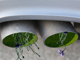 ___________________-500388076_1_.thumb_hs