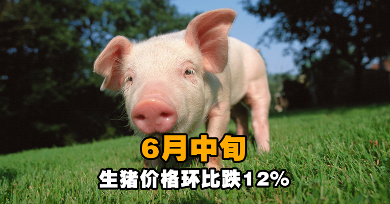 统计局：6月中旬重要生产资料21涨25降 生猪跌幅达12％