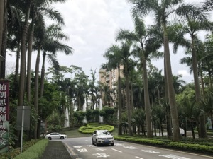 终审！深圳二手房买卖违约金最高纪录被提升至730万元