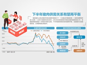 低于5：1，猪粮比价进入过度下跌一级预警区间 中央和地方将启动猪肉收储