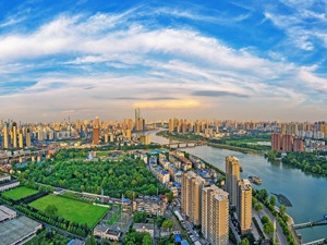 武汉首批集中土拍揽金788亿背后：超6成地块底价成交，头部房企拿地金额占比下降
