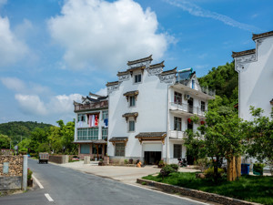 全面推进乡村振兴，央行等六部门：适度提高对银行业金融机构涉农贷款风险容忍度