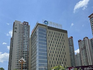 原控股股东占用易见股份资金被证实  还有四大问题亟待核查