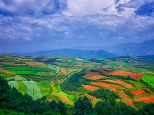 自然资源部：让严守耕地红线的措施“长牙齿”，扎实推进农村乱占耕地建房问题专项整治
