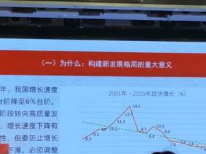 全国政协经济委员会副主任杨伟民：构建新发展格局，中国既要当好世界工厂又要当好世界市场