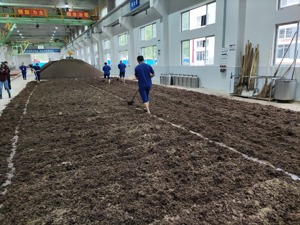 酱酒“狂奔”  卖房的、做金针菇的都来了  资本“酿酒”还是“炒概念”？